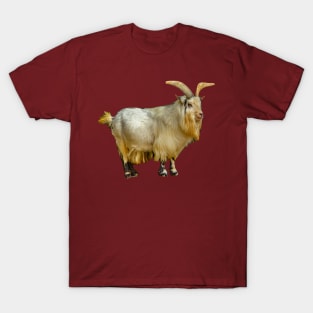 Billy the Goat T-Shirt